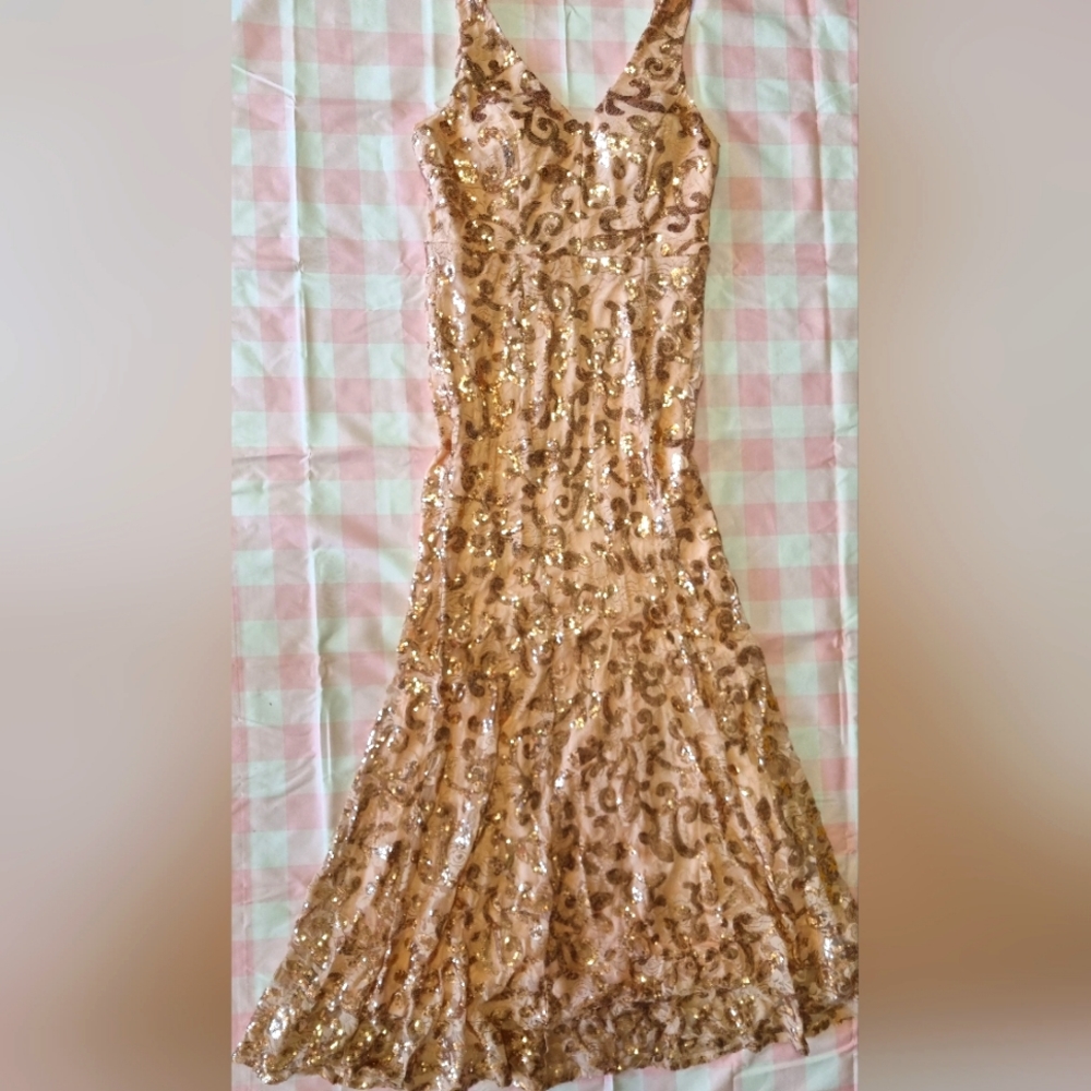 Sparkling Rosee Gold Dress for a Special Day!